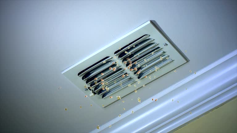 Best Emergency Air Duct Cleaning  in Orwigsburg, PA