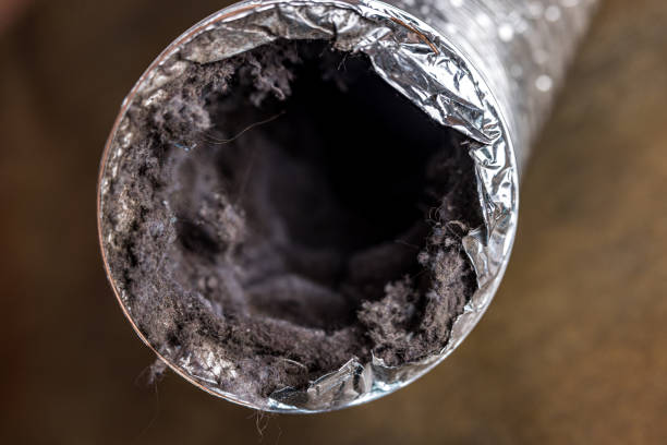 Best Commercial Air Duct Cleaning  in Orwigsburg, PA