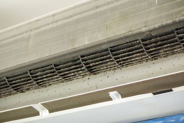 Best Ventilation Cleaning Services  in Orwigsburg, PA